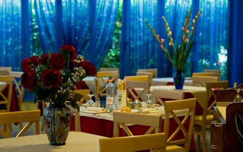 Hotel Rado 3*